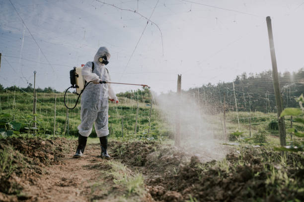 Pest Control Cost in Kimberling City, MO